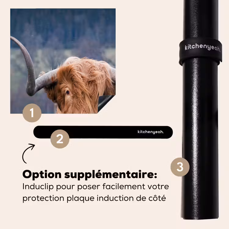 Protection plaque induction - Le souverain des Highlands — 8