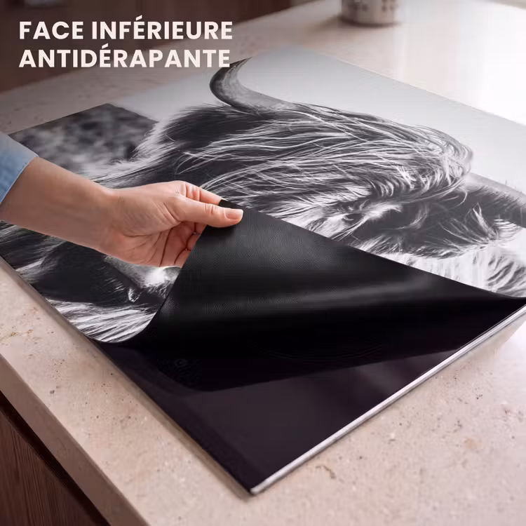 Protection plaque induction - Puissance silencieuse — 7
