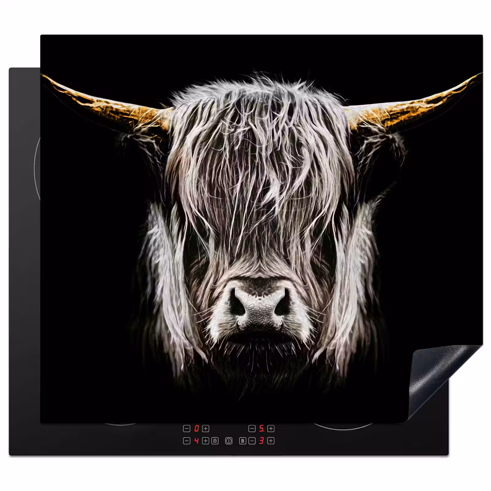 Protection plaque induction - Highlander Symphony — 1