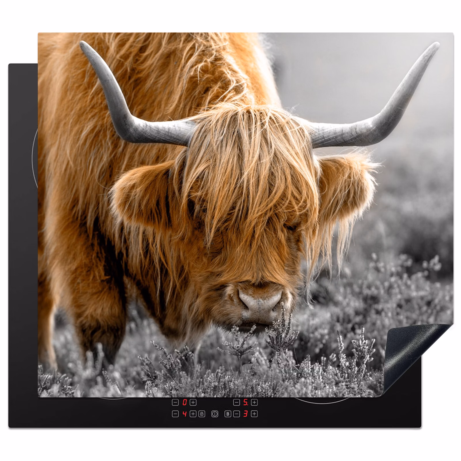 Protection plaque induction - Nuances d'automne dans les Highlands — 1
