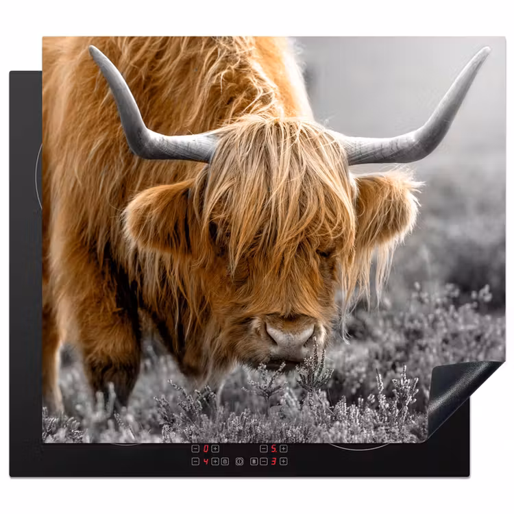 Protection plaque induction - Nuances d'automne dans les Highlands — 1