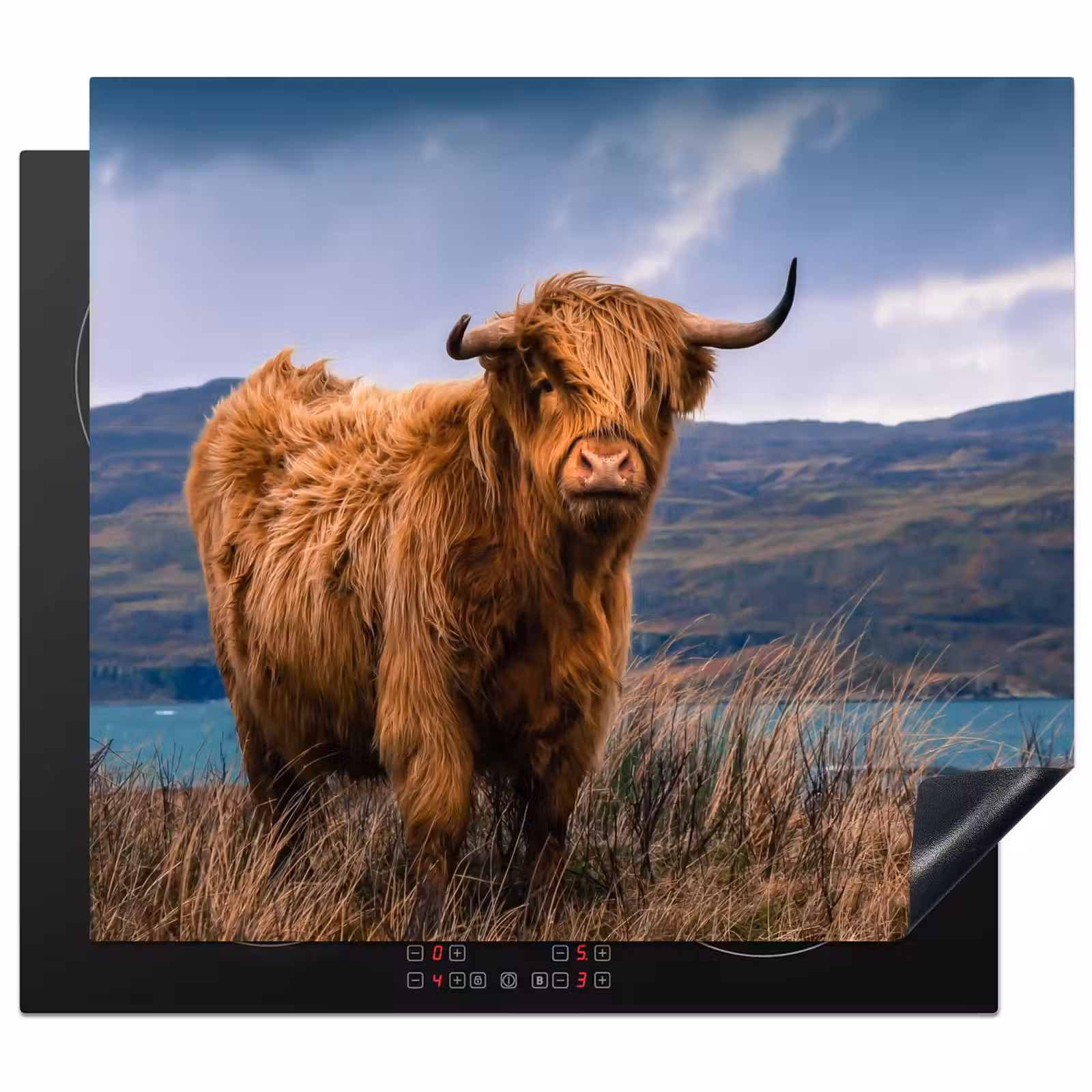 Protection plaque induction - Highlander sur la côte — 1