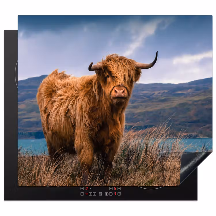 Protection plaque induction - Highlander sur la côte — 1