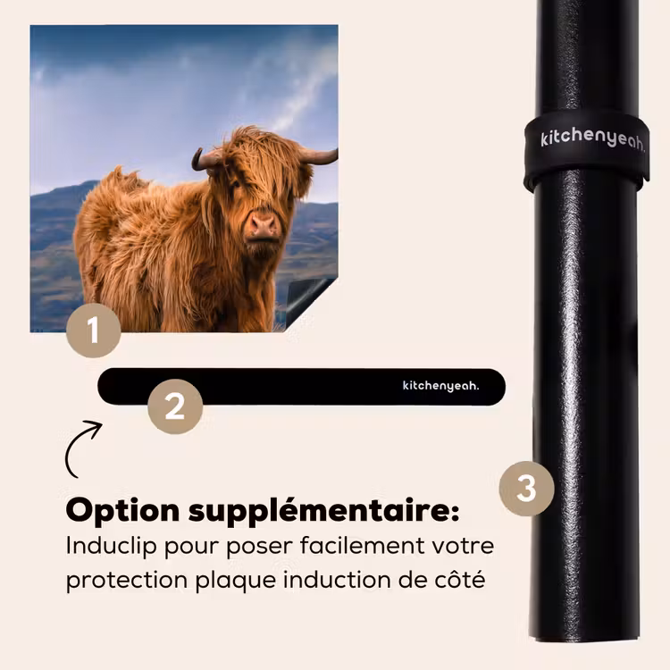 Protection plaque induction - Highlander sur la côte — 8