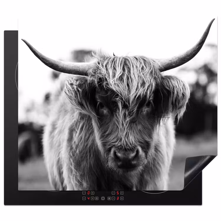 Protection plaque induction - Les contrastes des Highlands — 1
