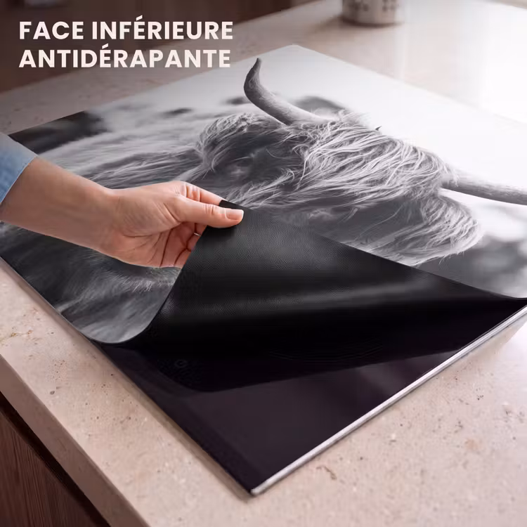 Protection plaque induction - Les contrastes des Highlands — 7