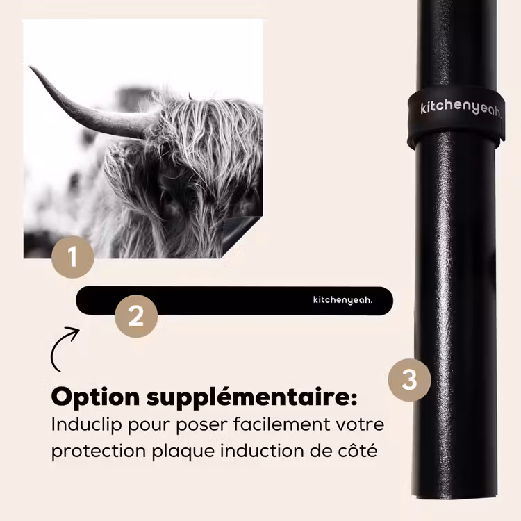 Protection plaque induction - Les contrastes des Highlands — 8