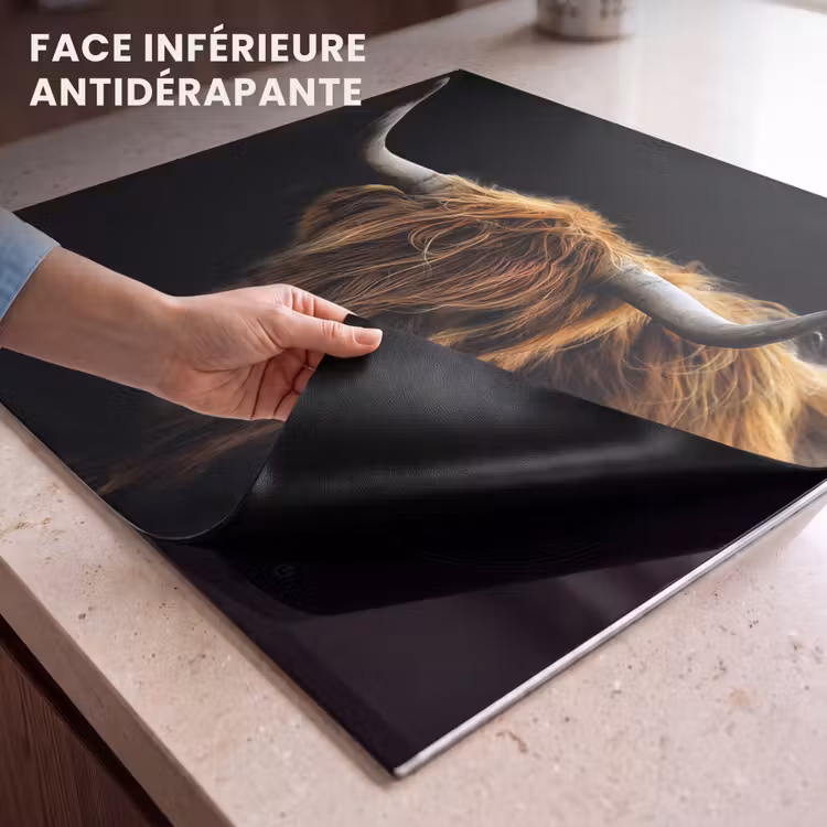 Protection plaque induction - Ombre et lumière — 7