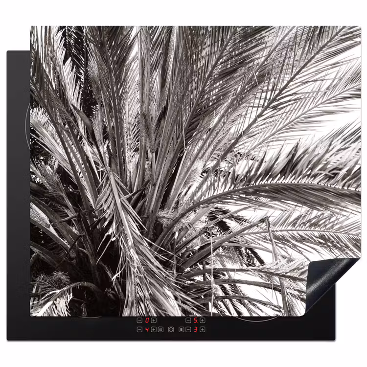 Protection plaque induction - Toit de palme monochrome — 1