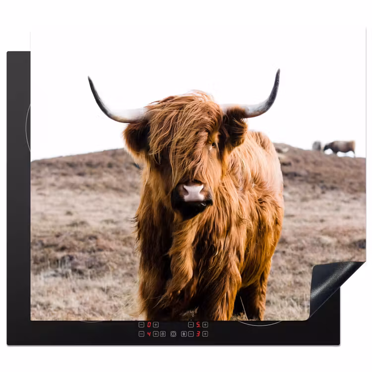 Protection plaque induction - Gardien des Hautes Terres — 1