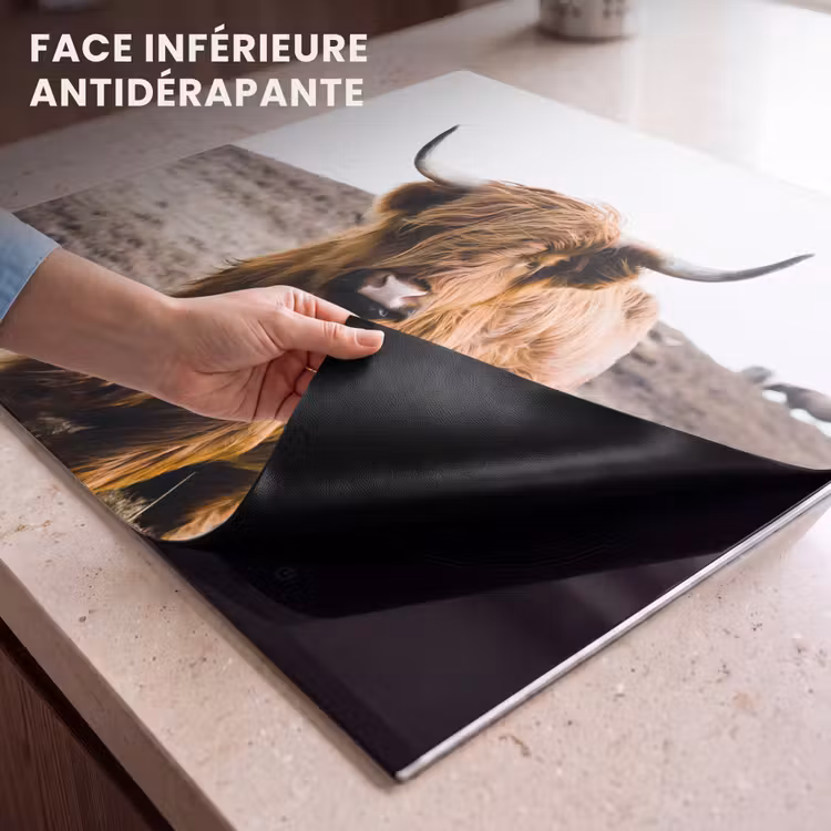 Protection plaque induction - Gardien des Hautes Terres — 7