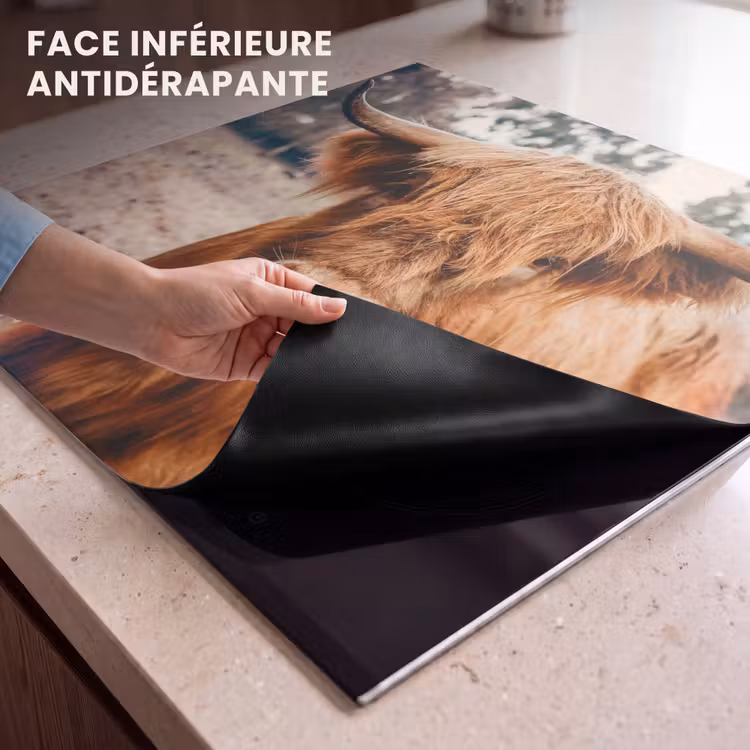 Protection plaque induction - Vue du géant rustique — 7