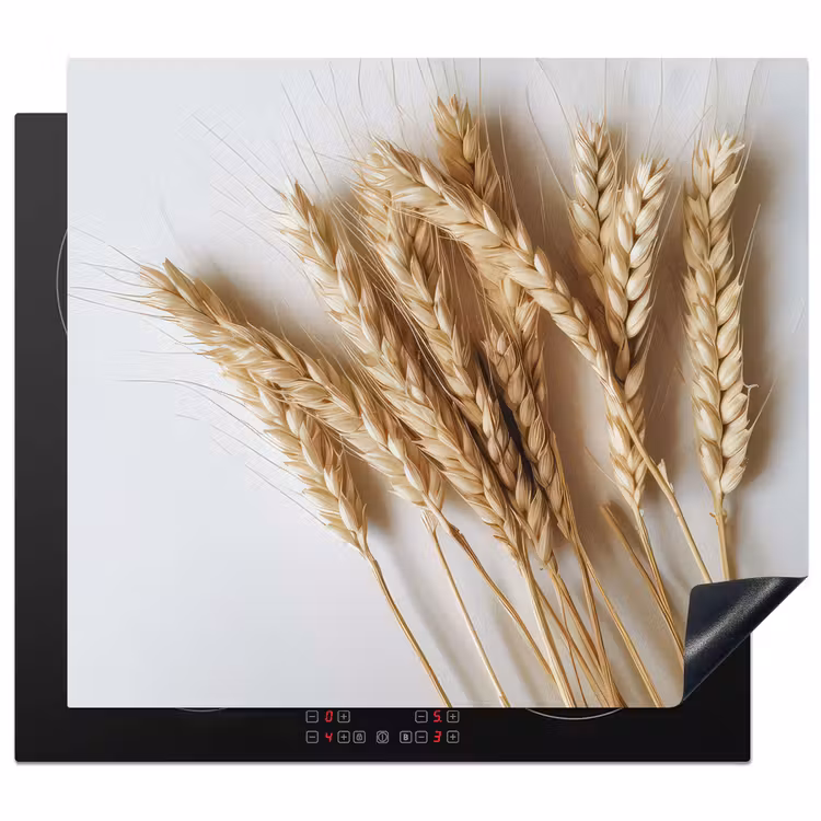 Protection plaque induction - Récolte d'or — 1