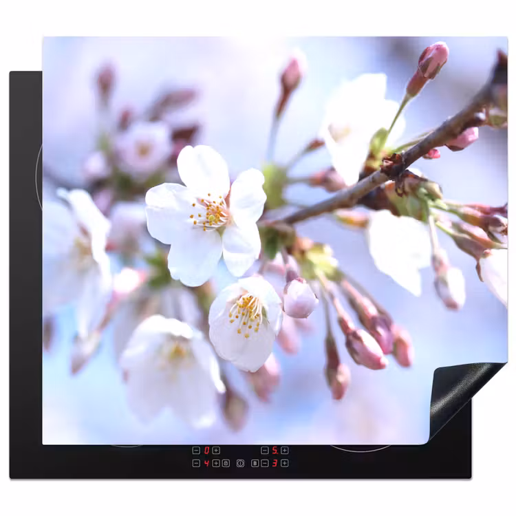 Protection plaque induction - Bodes lumineux du printemps — 1