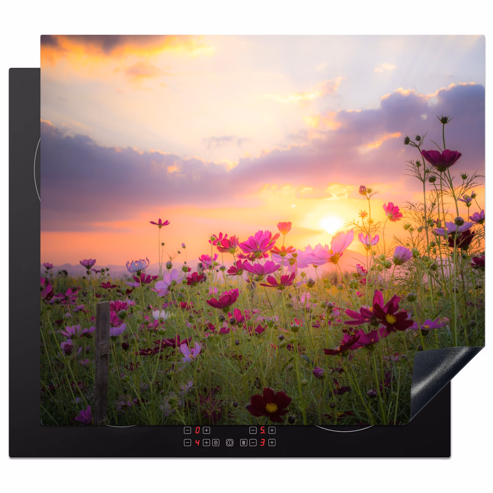 Protection plaque induction - Cosmos au coucher du soleil — 1