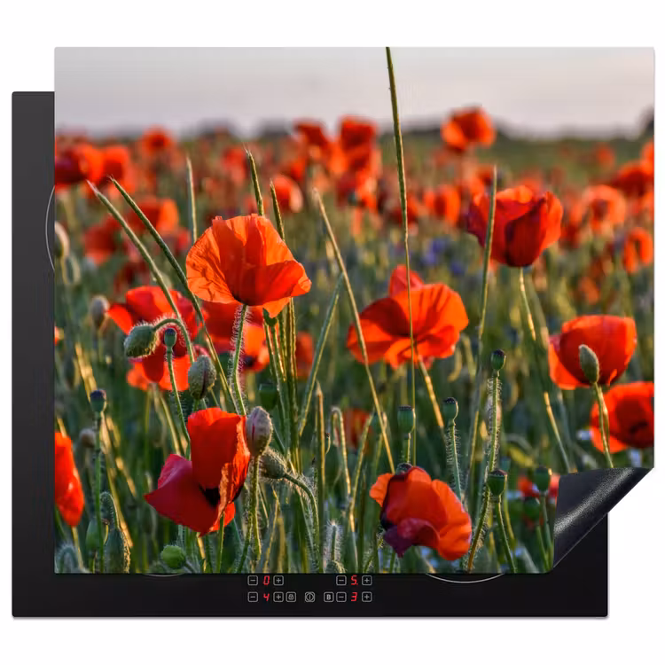 Protection plaque induction - Coquelicots au coucher du soleil — 1