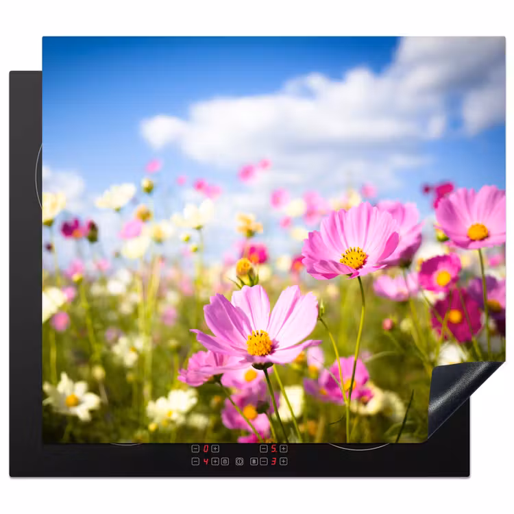 Protection plaque induction - Cosmea d'été — 1