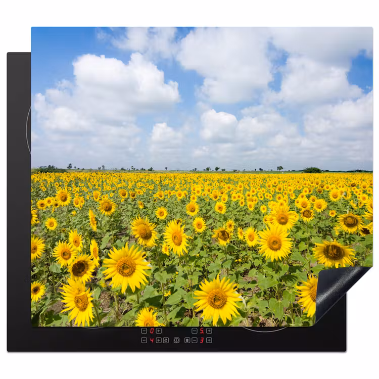 Protection plaque induction - Horizon des tournesols — 1