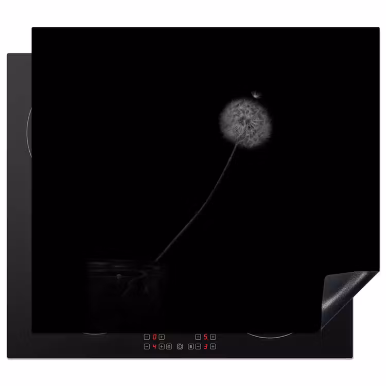 Protection plaque induction - Une touche de fragilité — 1