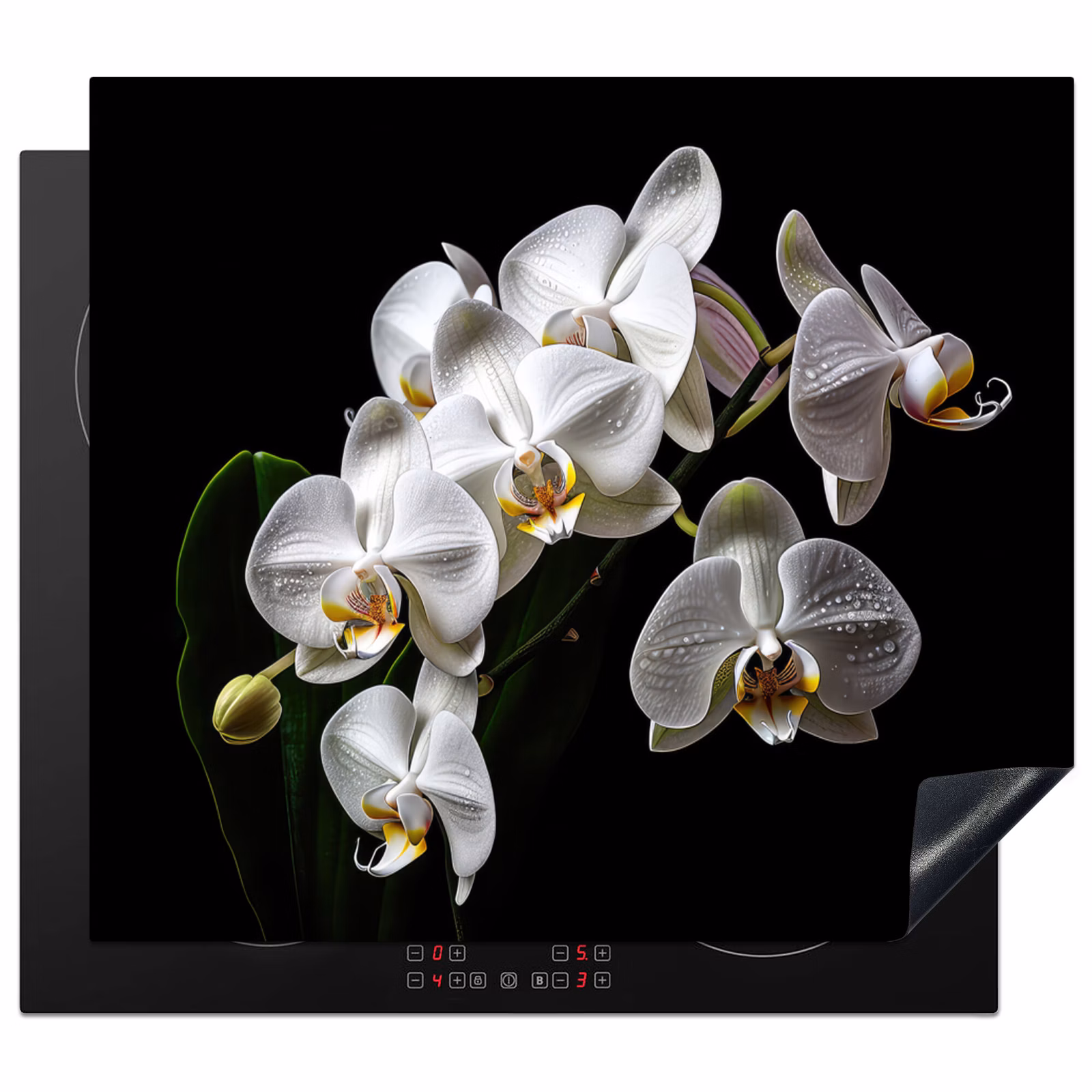 Protection plaque induction - Gouttes de rosée sur orchidées blanches — 1
