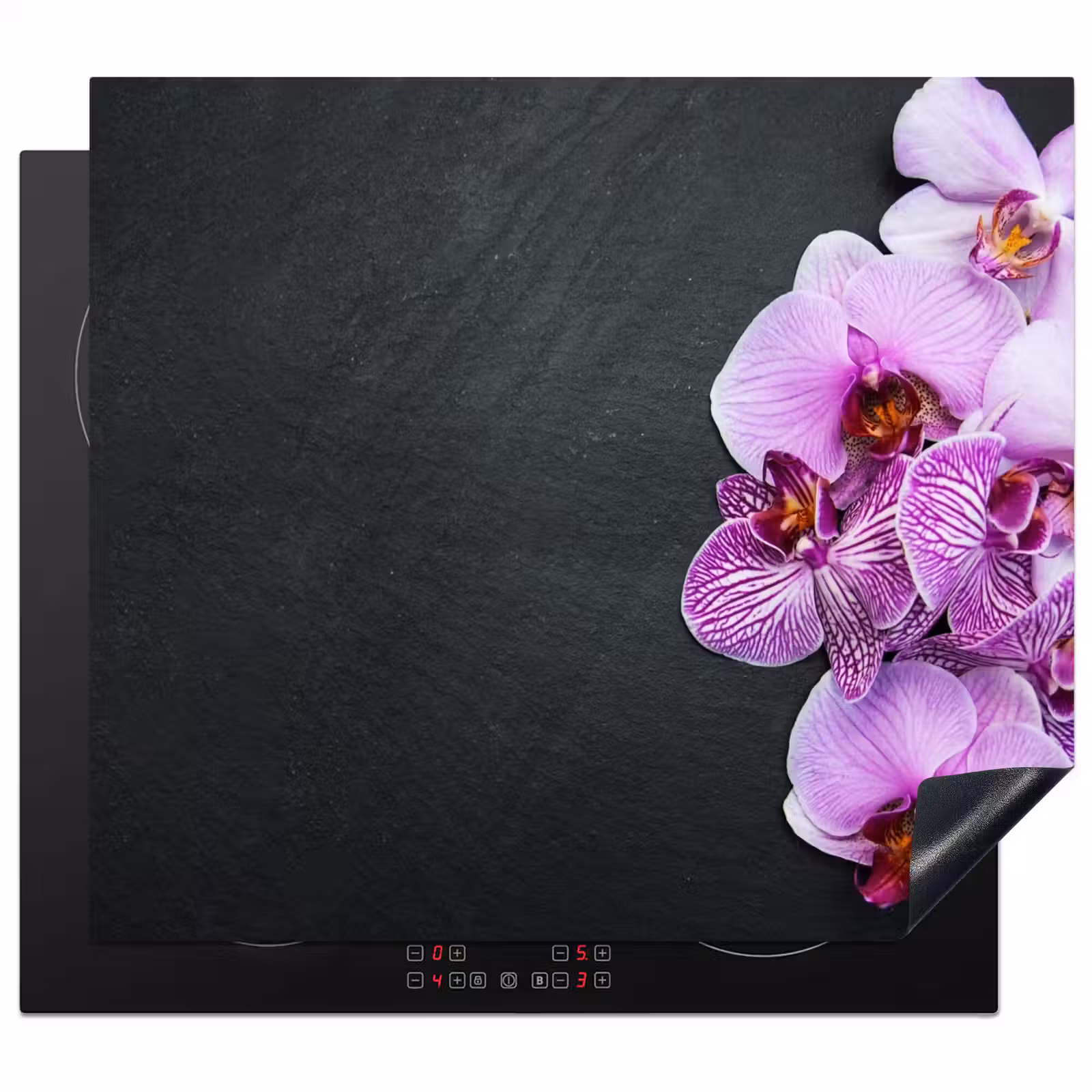 Protection plaque induction - Arrangement d'orchidées contrastées — 1