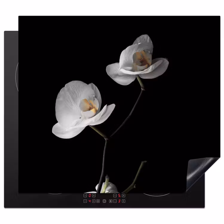 Protection plaque induction - Élégance de l'orchidée nocturne — 1