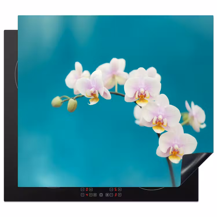 Protection plaque induction - Orchidées Aqua Bliss — 1