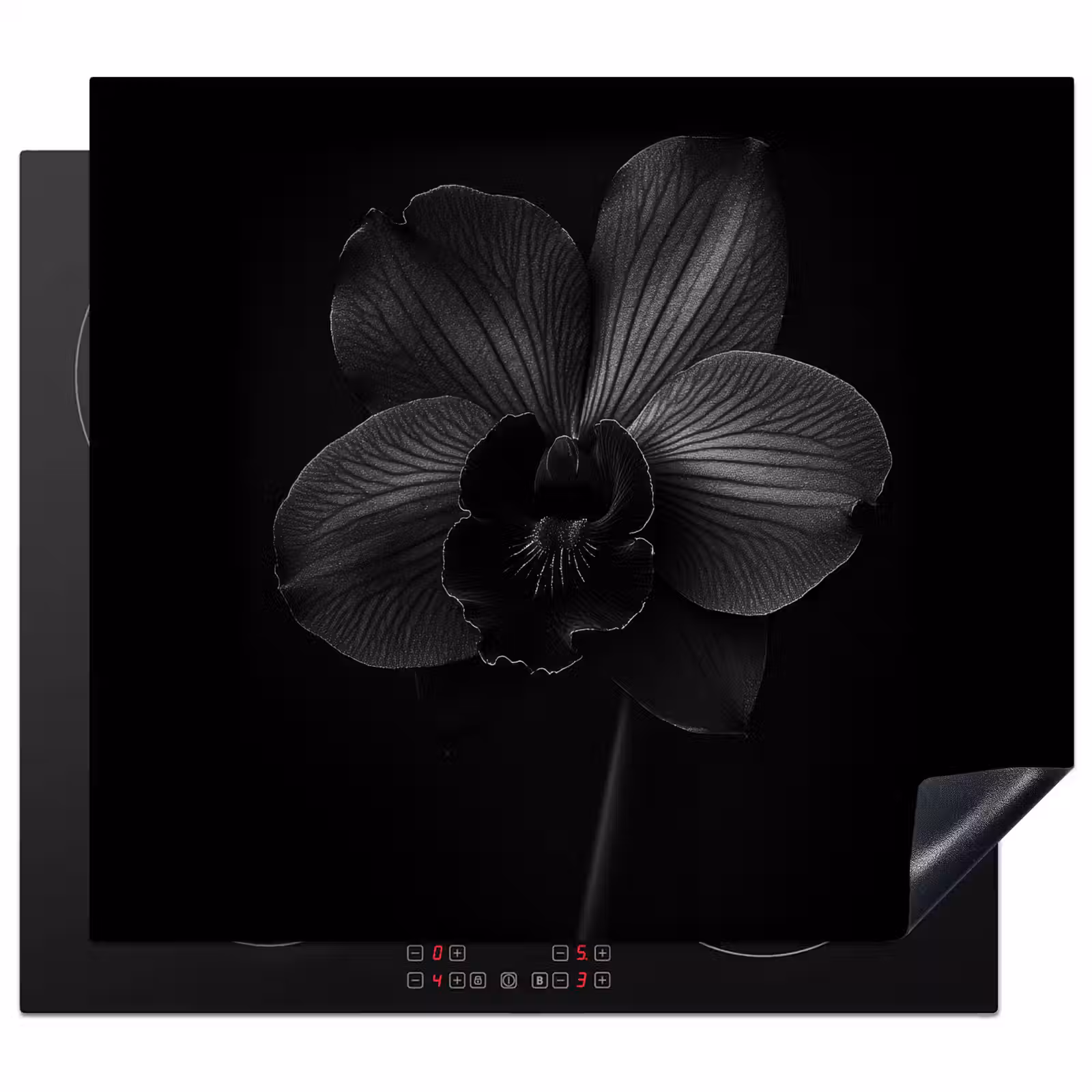 Protection plaque induction - Noir - Fleur - Orchidée — 1