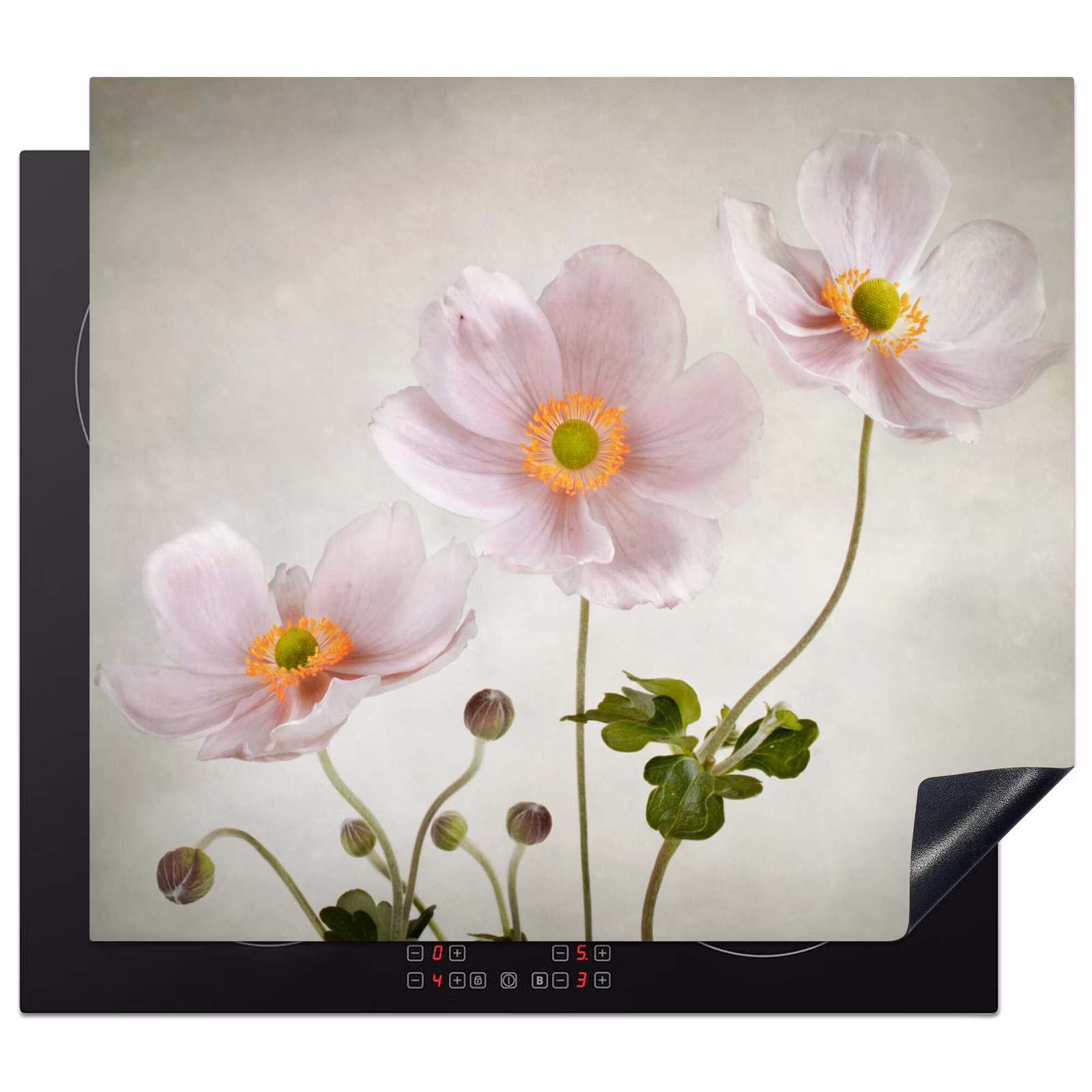 Protection plaque induction - Peinture ancienne d'anémone rose — 1