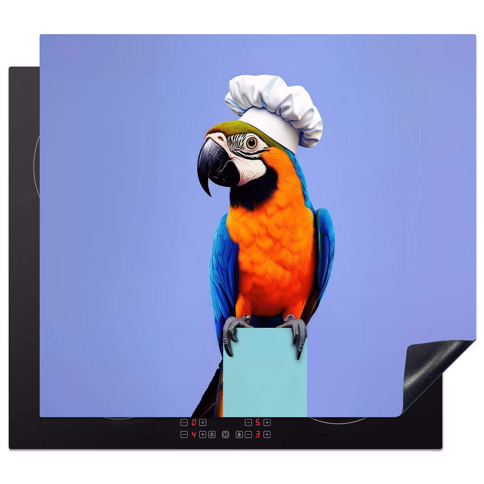 Protection plaque induction - Perroquet - Toque - Oiseau - Sympa — 1