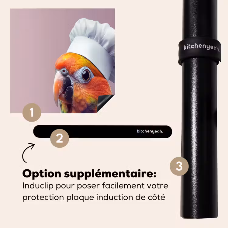 Protection plaque induction - Perroquet - Toque - Curieux - Oiseau — 8