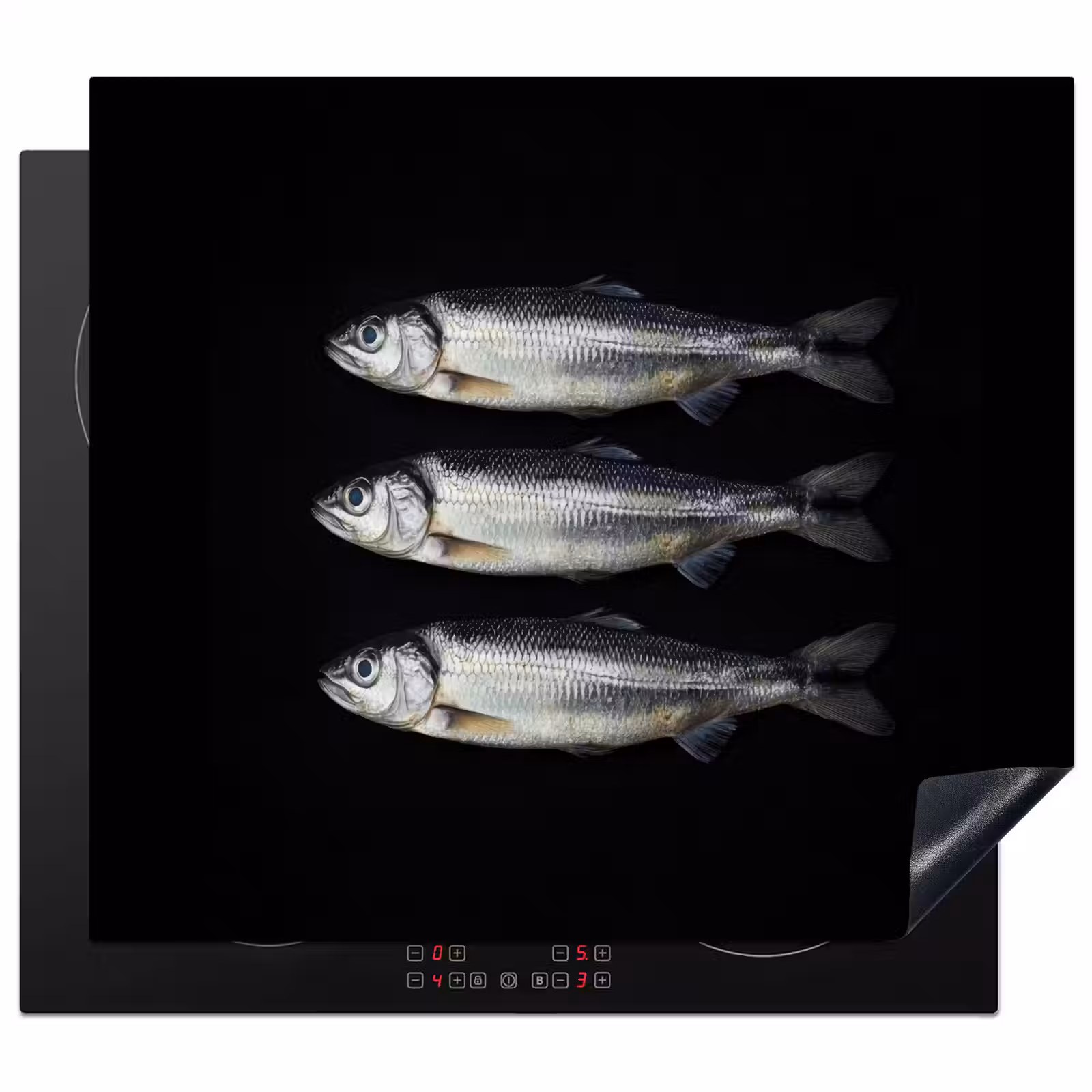 Protection plaque induction - Hareng - Poisson - Noir — 1