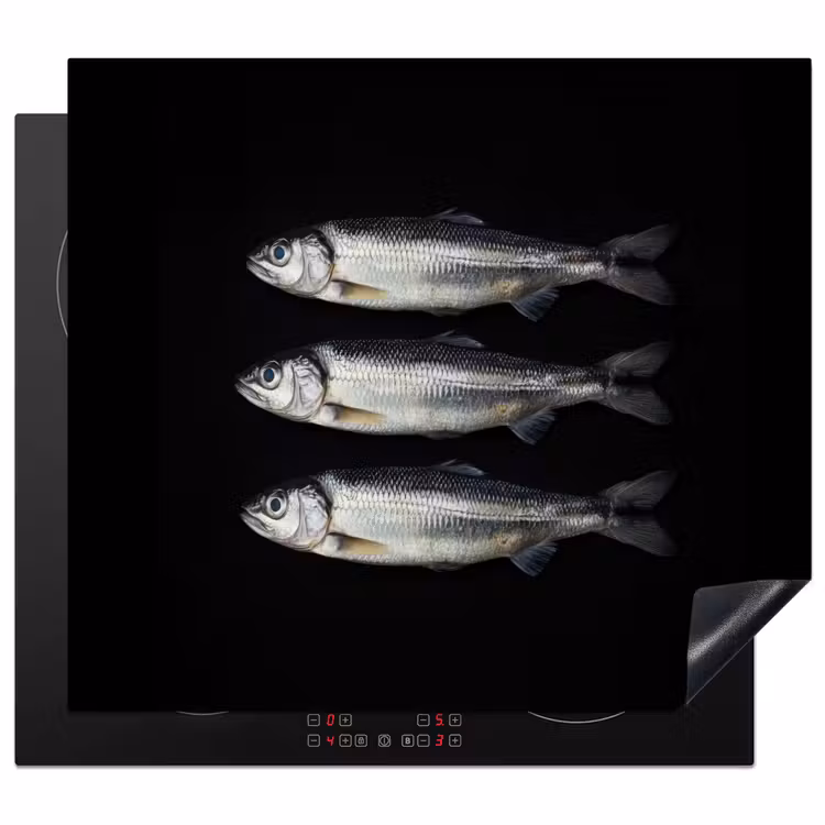 Protection plaque induction - Hareng - Poisson - Noir — 1