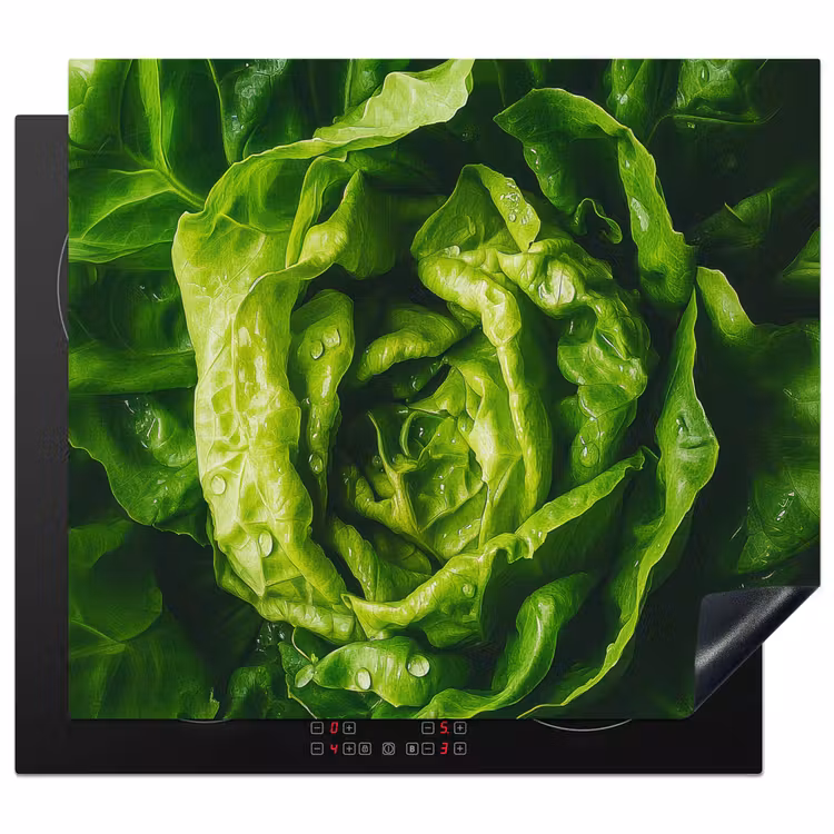 Protection plaque induction - Légumes - Laitue - Verte — 1