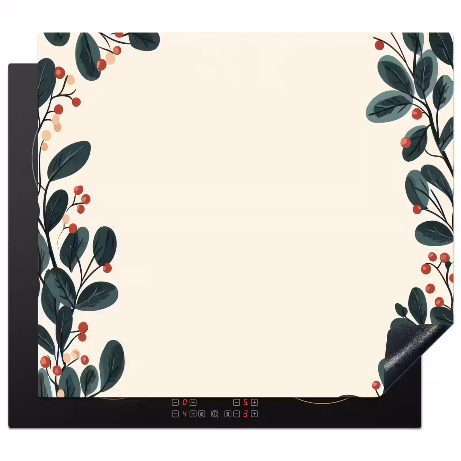Protection plaque induction - Branches - Hiver - Plantes - Lumière — 1