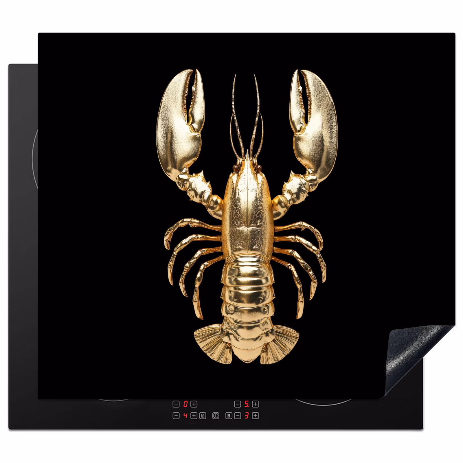 Protection plaque induction - Cancer - Or - Texture - Noir — 1