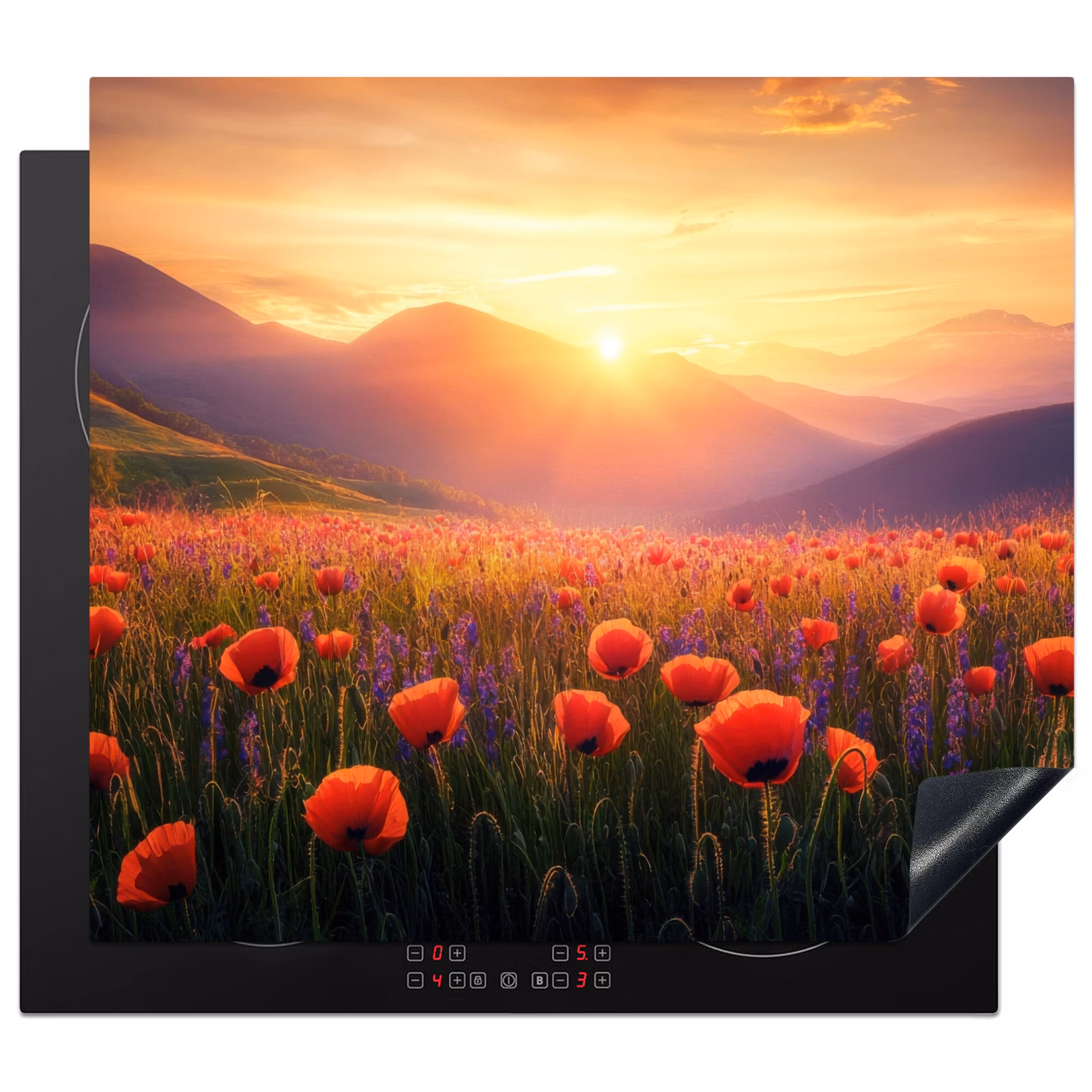Protection plaque induction - Paysage - Coucher de soleil - Champ de fleurs — 1