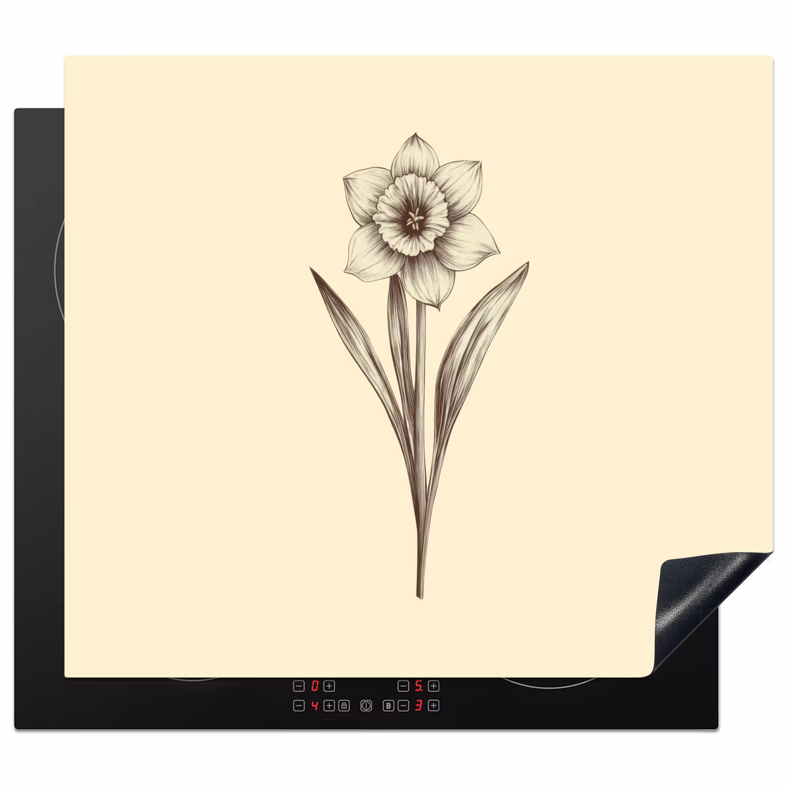 Protection plaque induction - Noir - Jonquille - Illustration — 1