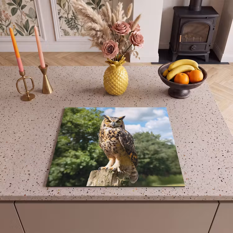 Protection plaque induction - Hibou - Tronc d'arbre - Forêt - Ciel — 3