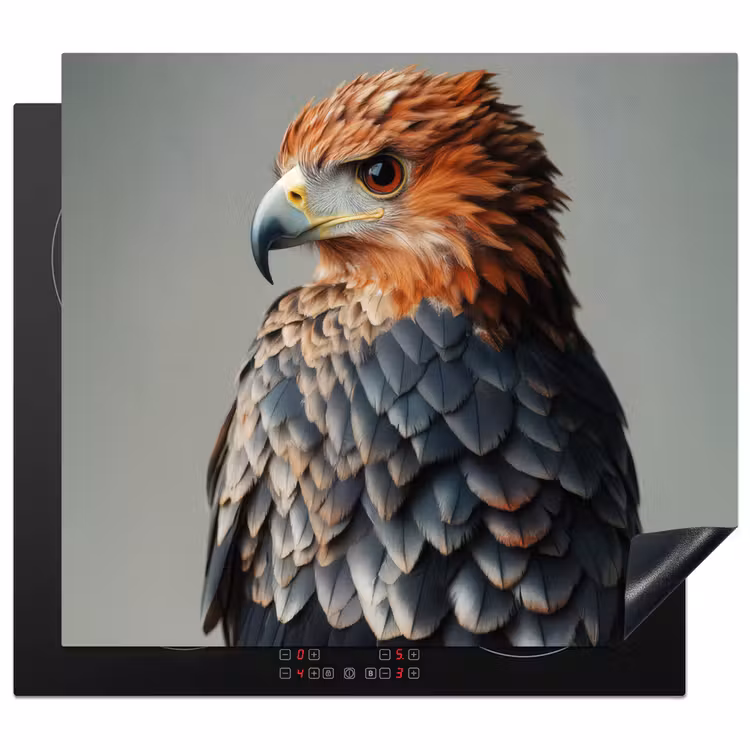 Protection plaque induction - Oiseau - Réaliste - Plumes - Marron — 1