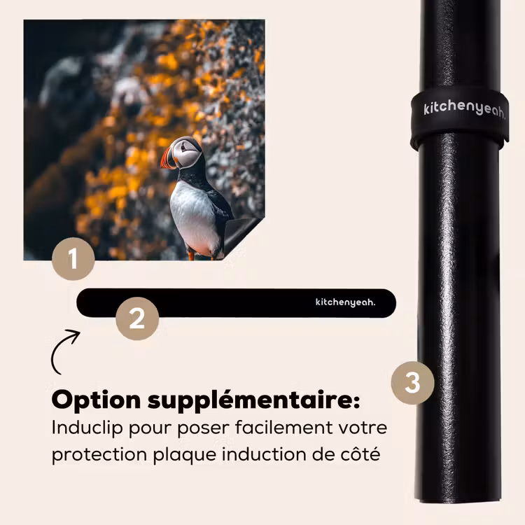 Protection plaque induction - Perroquet - Oiseau - Roche - Blanc — 8