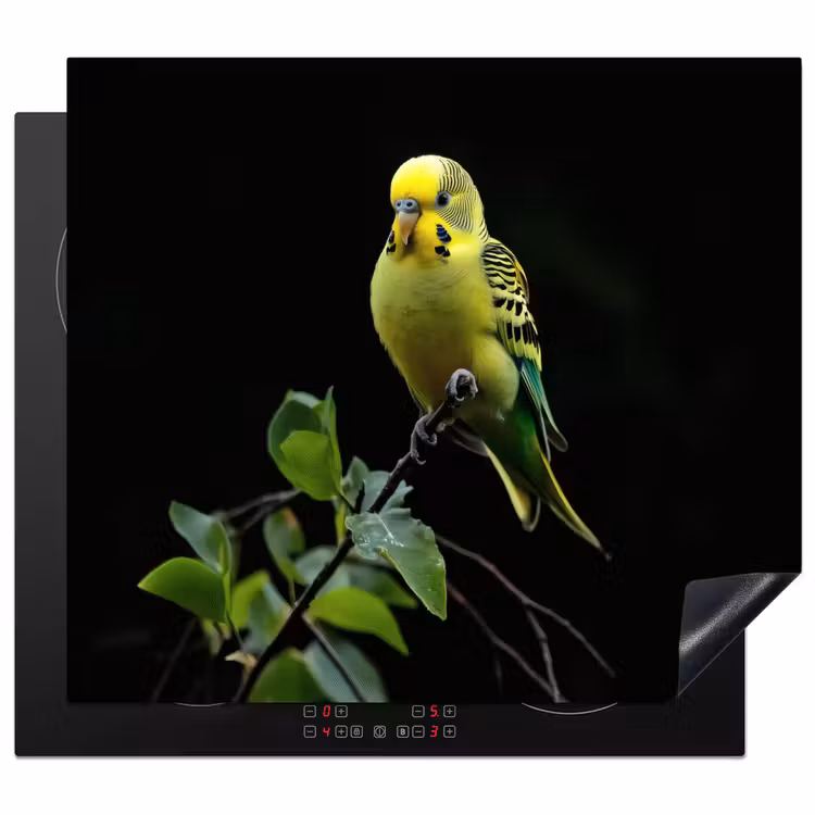 Protection plaque induction - Perruche - Branche - Feuilles - Jaune — 1