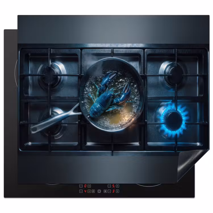 Protection plaque induction - Homard - cuisinière - cuisson — 1