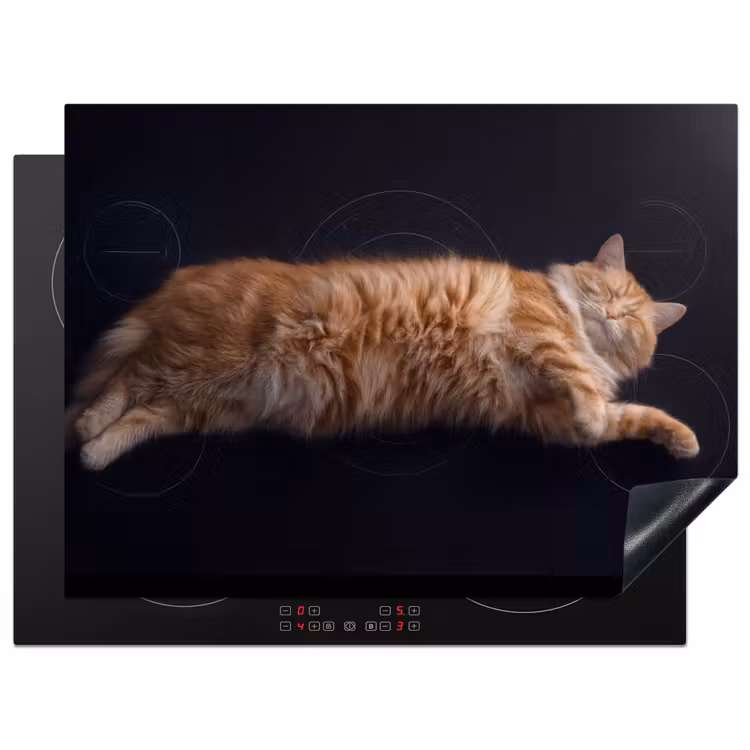 Protection plaque induction - Induction - Chat - Relax — 1