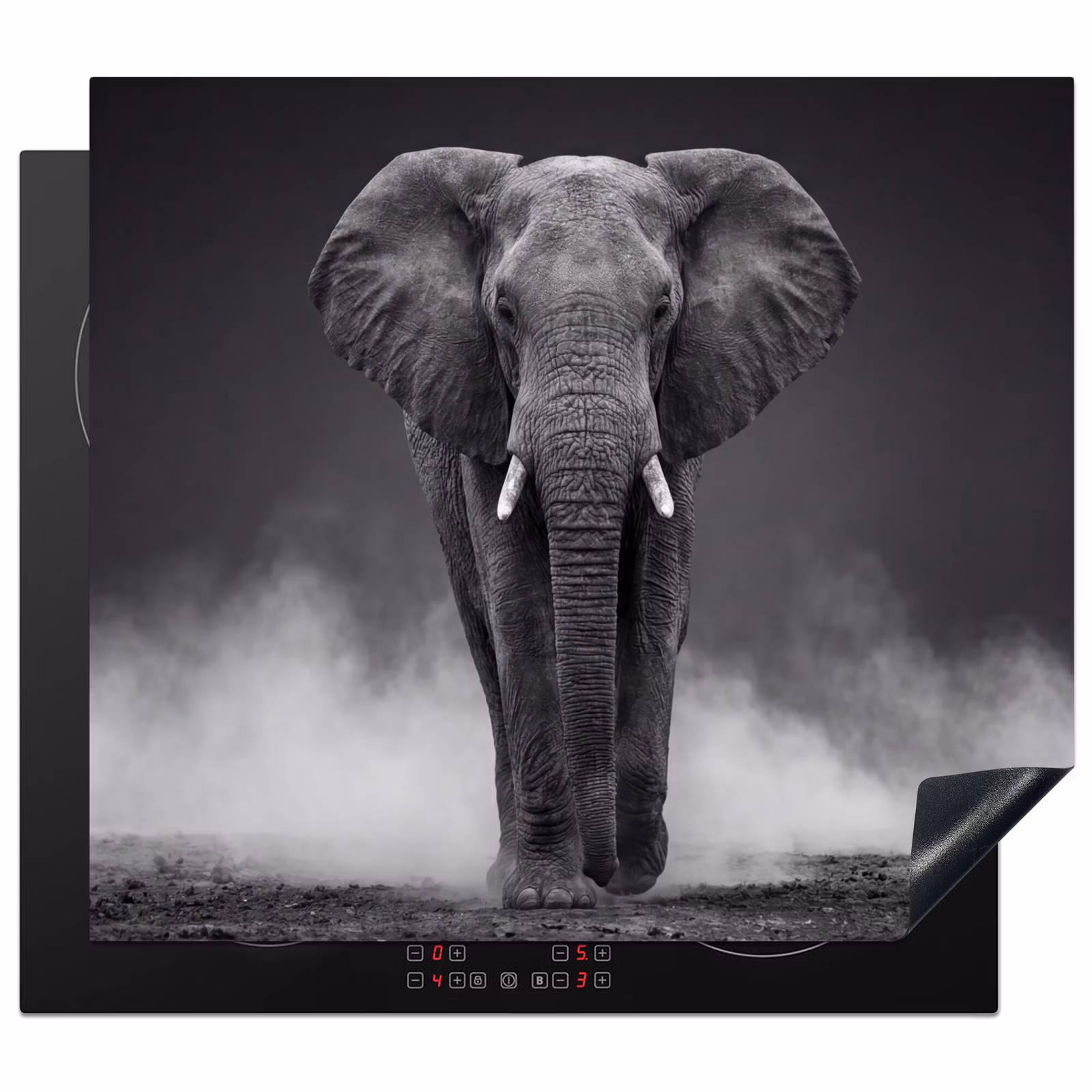 Protection plaque induction - Éléphant - Noir - Blanc - Fumée — 1