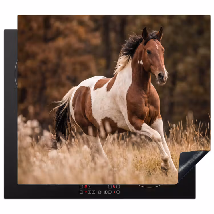 Protection plaque induction - Cheval - Marron - Herbe — 1