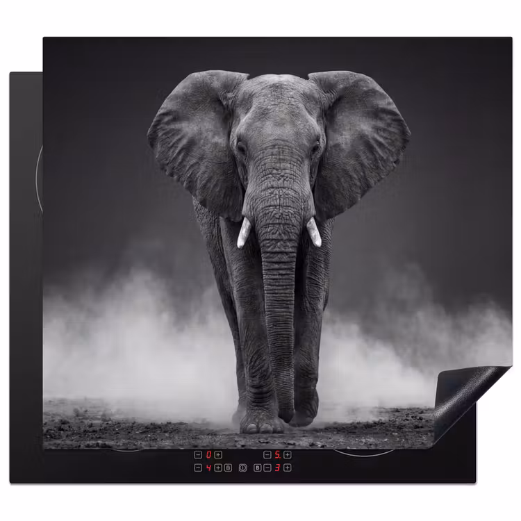 Protection plaque induction - Éléphant - Noir - Blanc - Fumée — 1