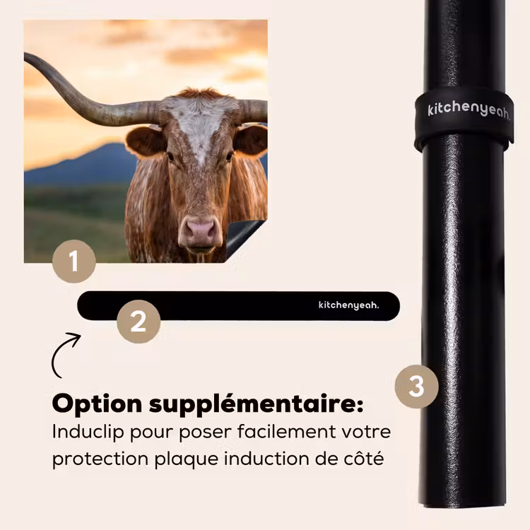 Protection plaque induction - Longhorn - Paysage - Coucher de soleil — 8