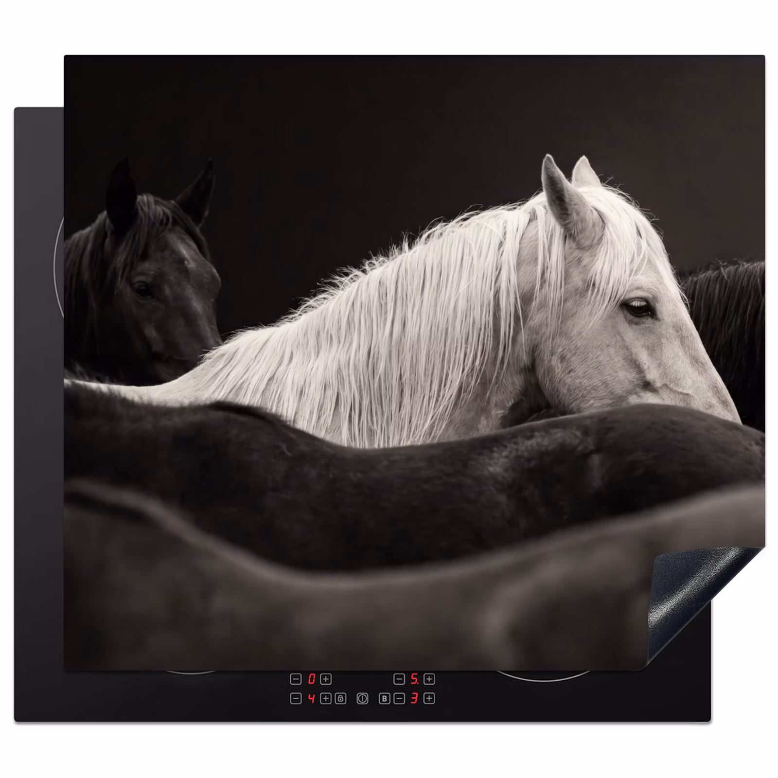 Protection plaque induction - Chevaux - Noirs - Blancs - Troupeau — 1