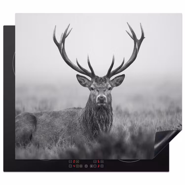 Protection plaque induction - Cerf - Brumeux - Noir - Blanc — 1